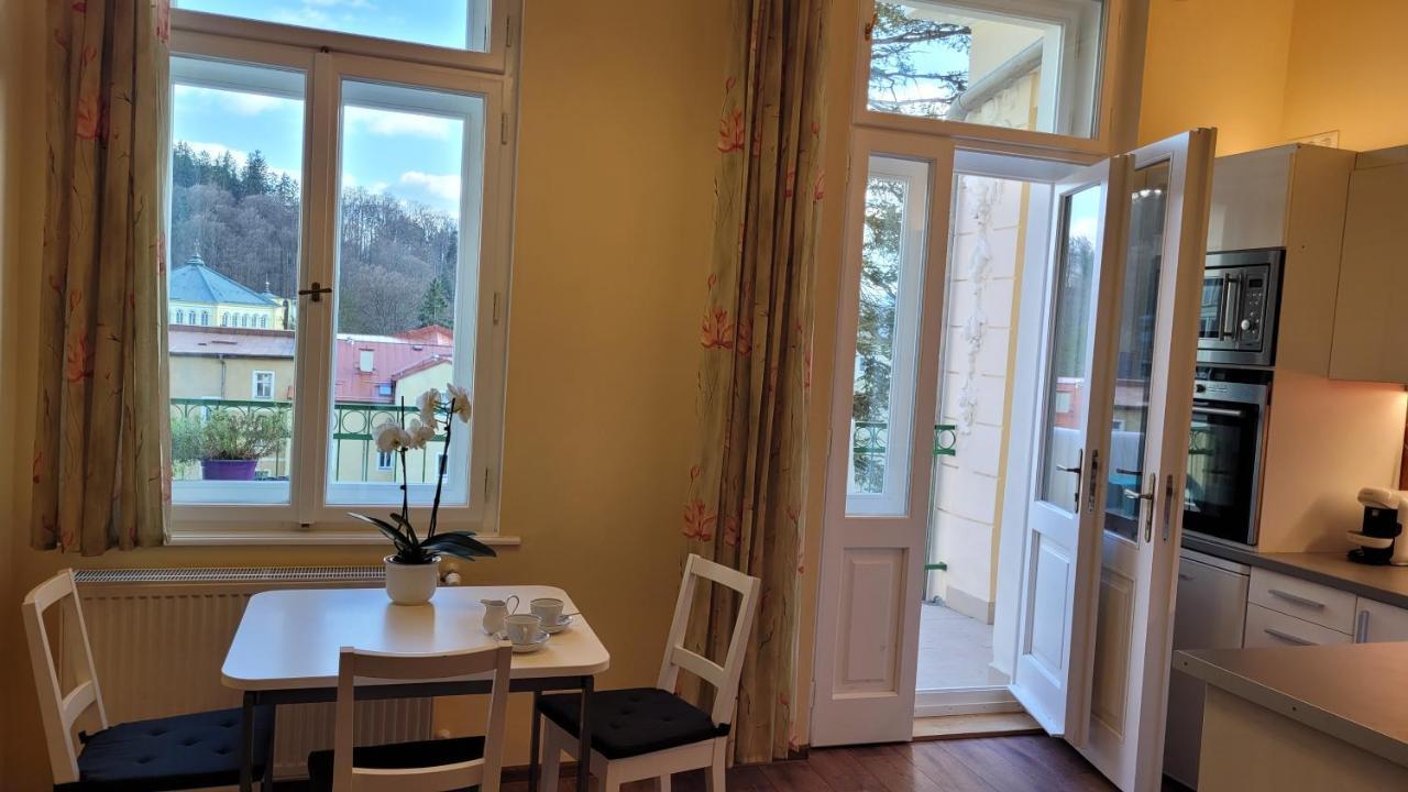 Apartmán U Kolonády Mariánské Lázně